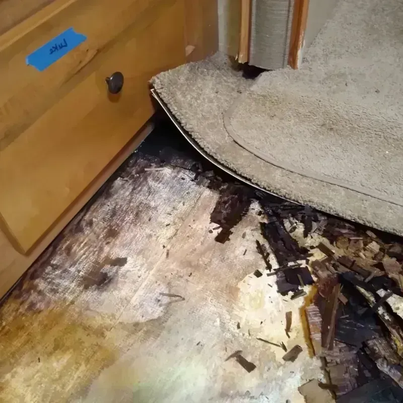 Wood Floor Water Damage in Long Grove, IL